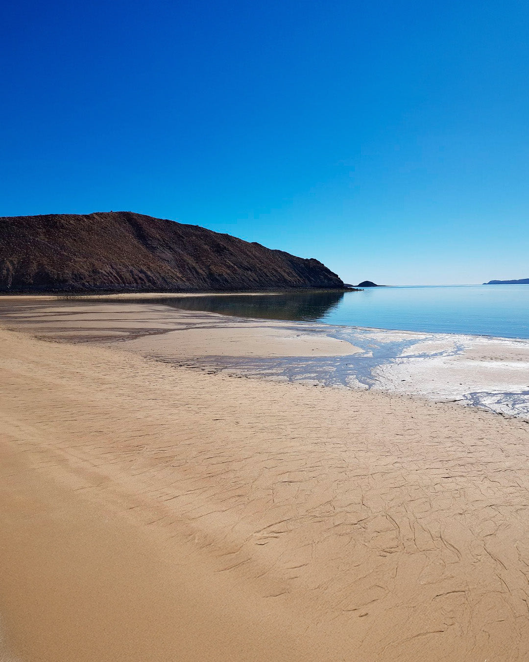 México Baja California Mayo