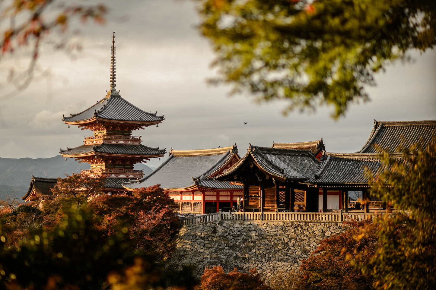 Japón Daruma
