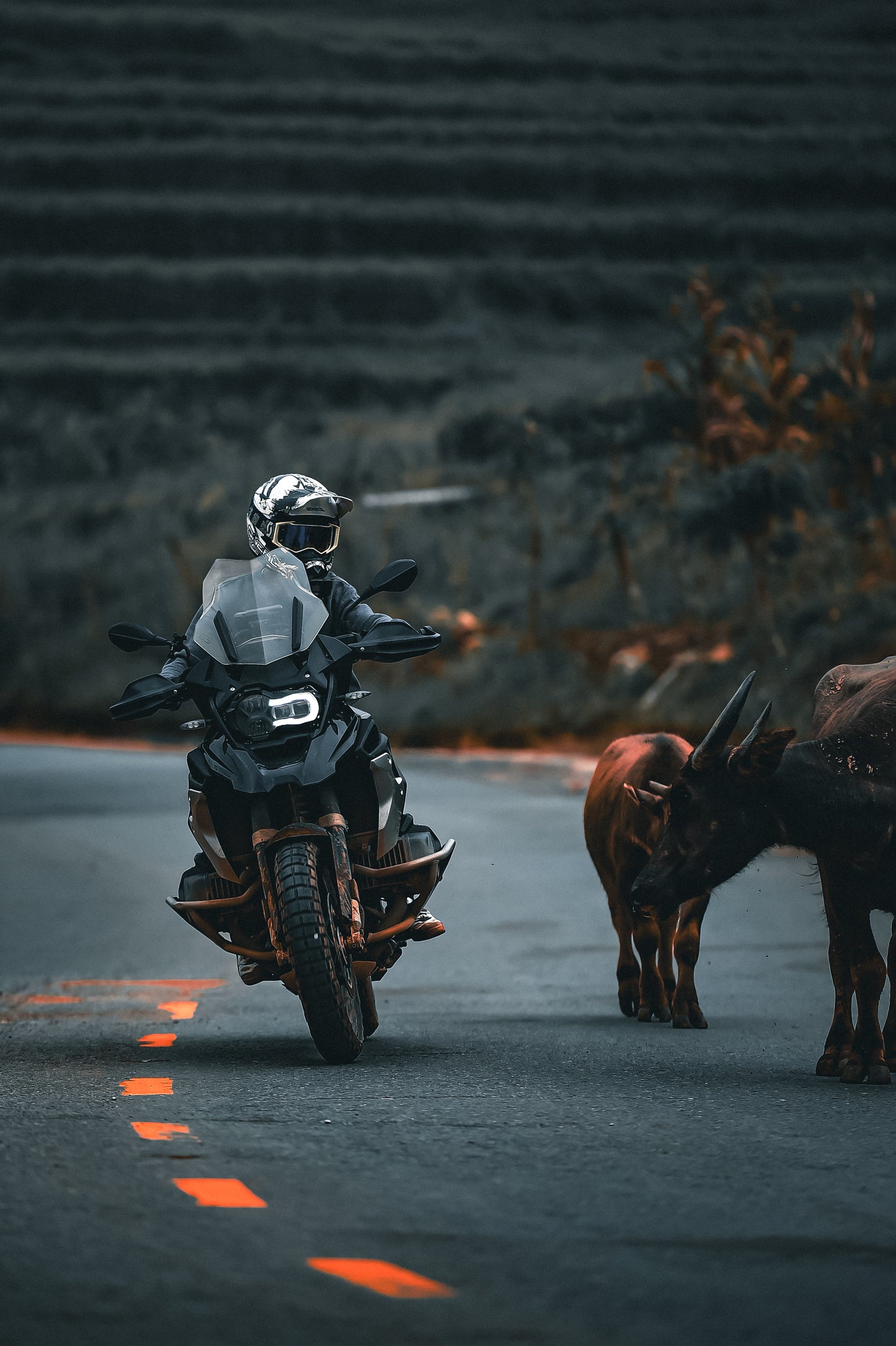 Vietnam On-Road Luxury