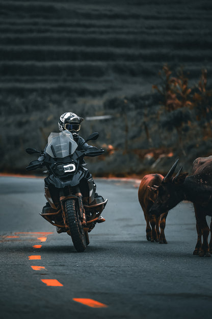 Vietnam On-Road Luxury